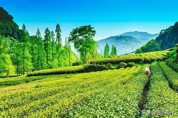 五一小长假去苏杭人多吗,五一杭州西湖人多吗