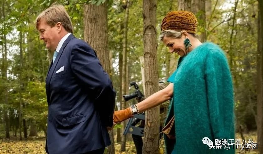 科普向-荷兰：活力有爱橙子国