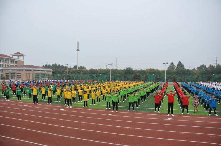 洛阳小升初最新视频,洛阳小升初2023