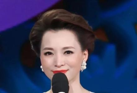 董卿中文有多美完整版,董卿有多好看