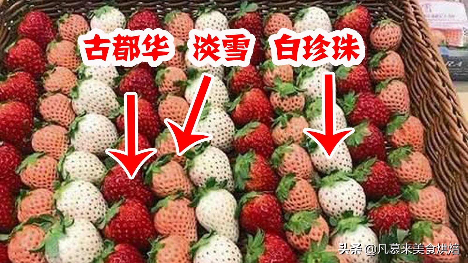 草莓哪个品种最好吃又好种,2018产量最好最大的草莓品种