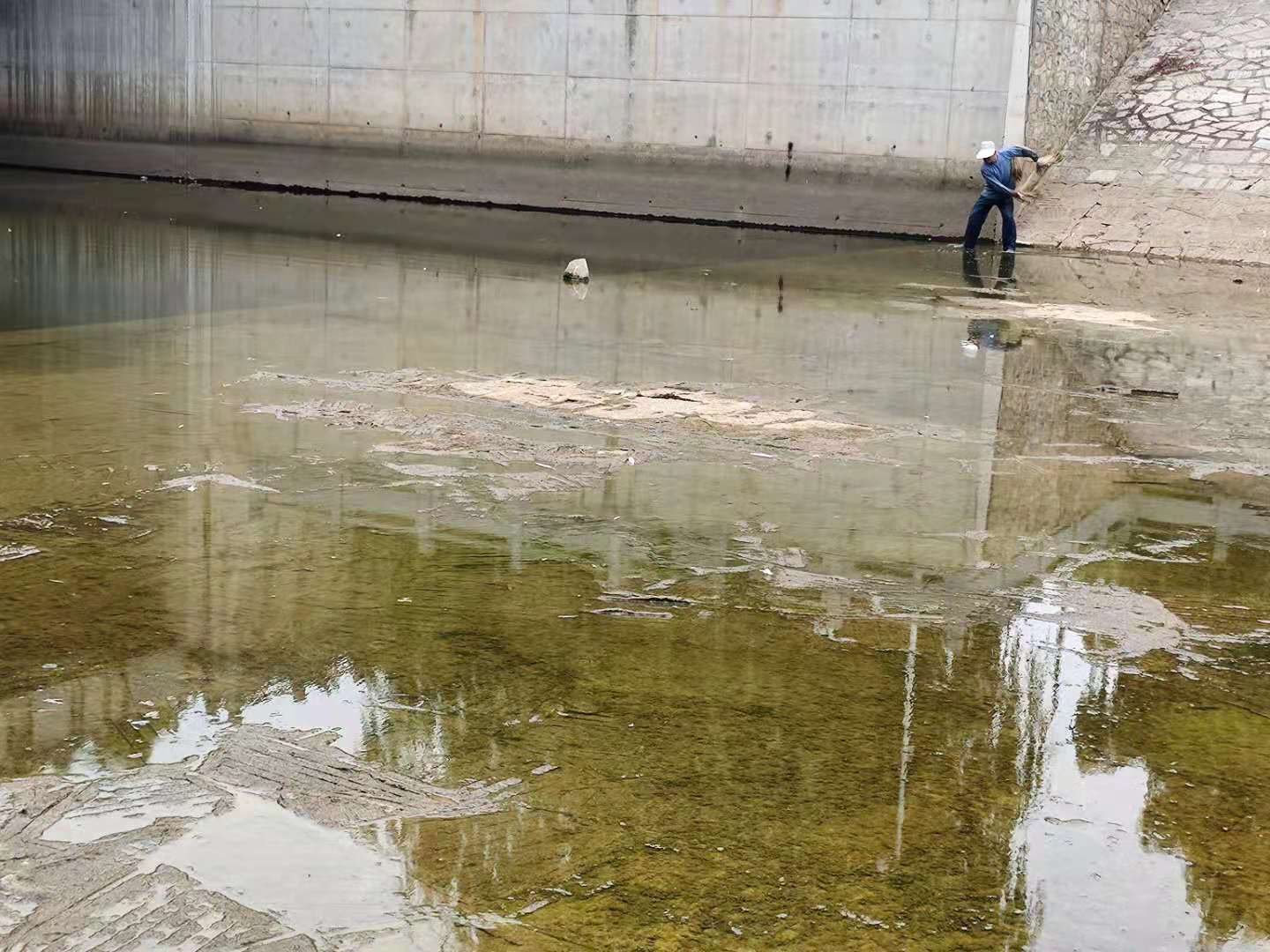 秋风也悄然而至,秋风将至之时