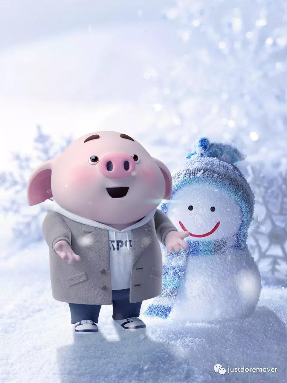 2019年我是最旺最红的猪！gruntgruntgrunt