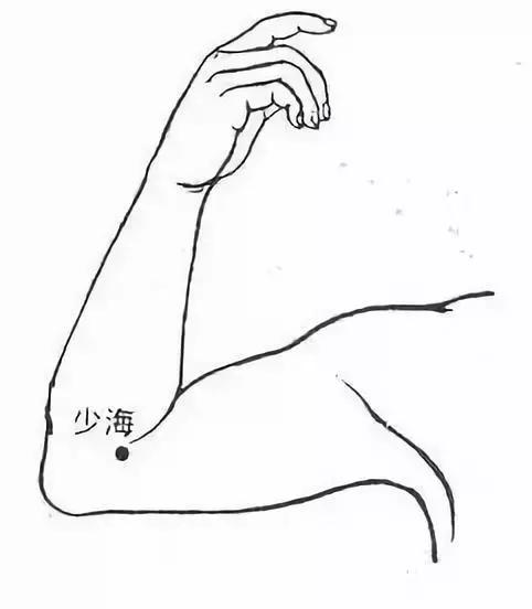 治疗白头发按什么穴位,头发出油按什么穴位