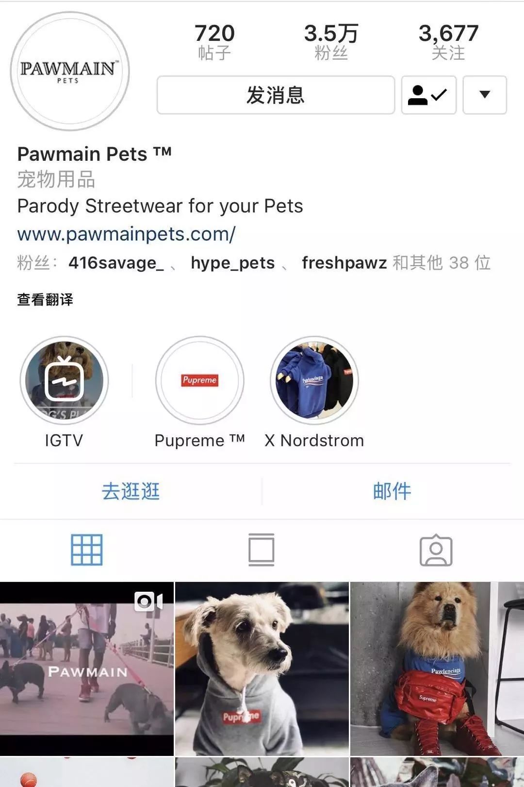 金链子狗潮牌,潮牌boy金链子