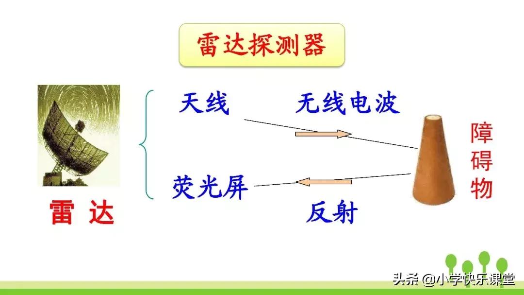 四年级上册语文蝙蝠和雷达课后题,部编版四年级上册语文蝙蝠和雷达
