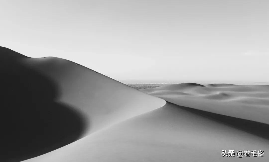 拍立得拍不出照片怎么回事,相机为什么黑屏拍不出照片