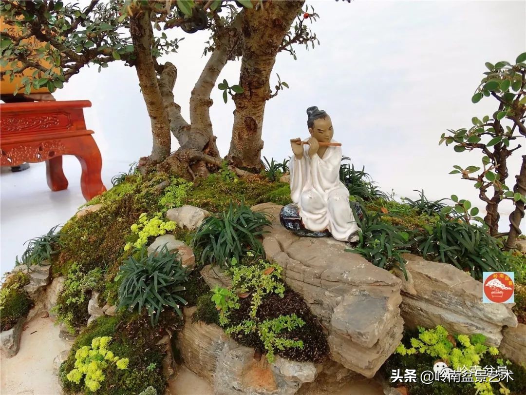 杂木盆景也毫不逊色,杂木盆景值钱吗