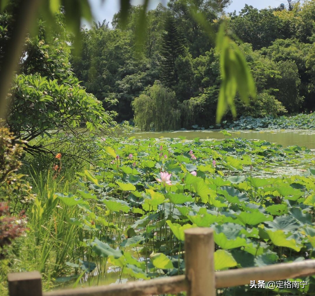 南宁狮山公园晚上开放时间,南宁狮山公园近期有什么玩