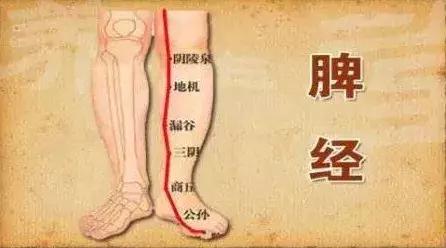 中医认为人为什么会生病,中医认为生病的主要原因是什么呢