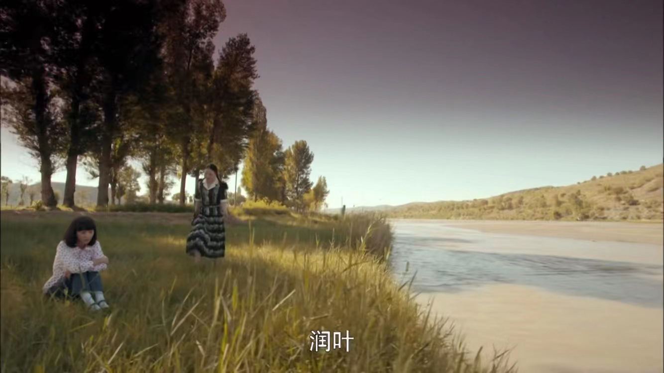 以田润叶视角打开平凡的世界,平凡的世界对田润叶的评价