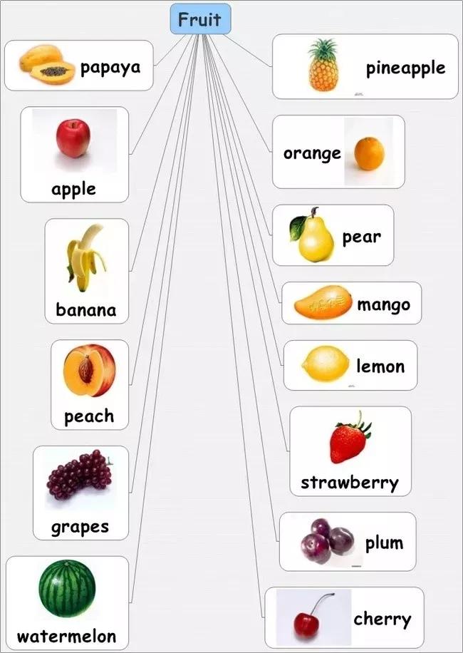 小学英语思维导图大全集,思维导图学英语阅读