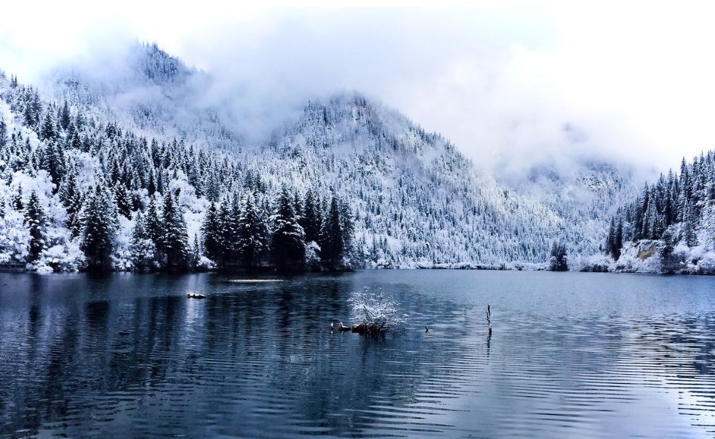 九寨记忆,九寨美景如诗如画