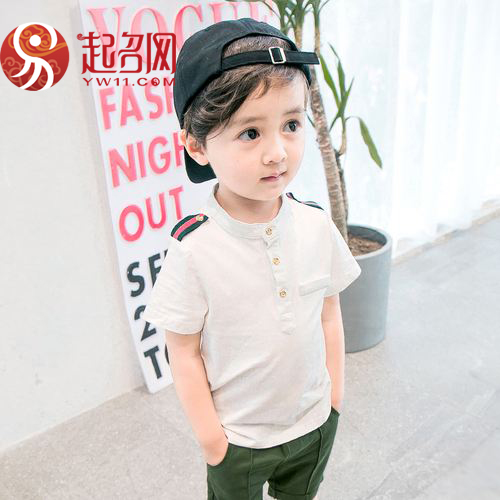 有诗意又儒雅的男孩名字,清冷孤傲男生名字二字