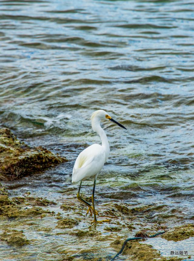 加勒比海邮轮旅行香港,加勒比海游轮旅行视频大全