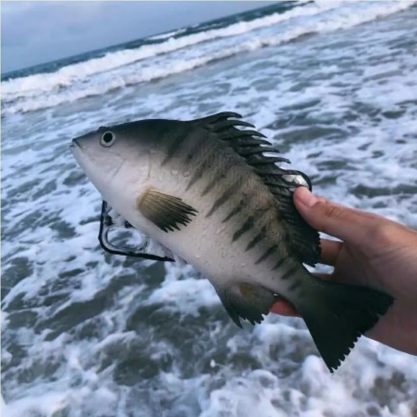 吐槽那些没用的沙雕手机壳 (什么手机壳最沙雕)