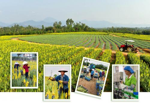 瑷露德玛鲜汁原液芦荟胶好用吗,瑷露德玛芦荟鲜汁原液460ml