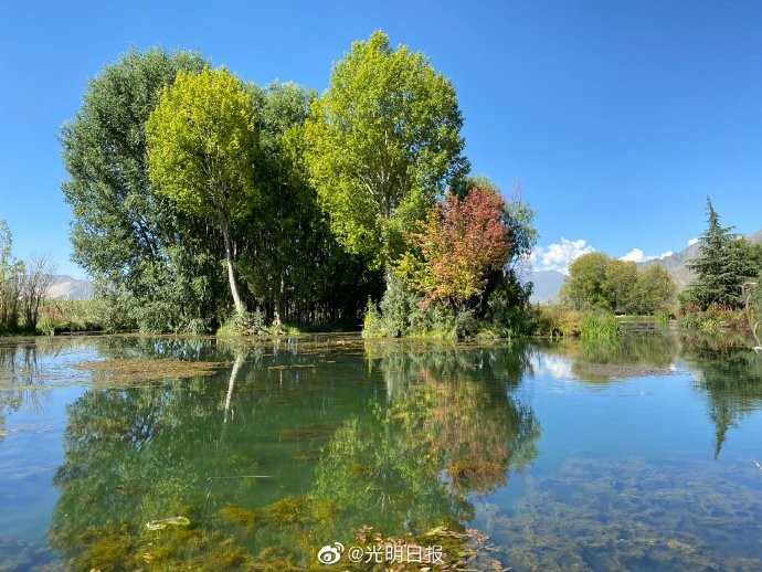富人成功的秘密是绝望,富人成功背后的思维