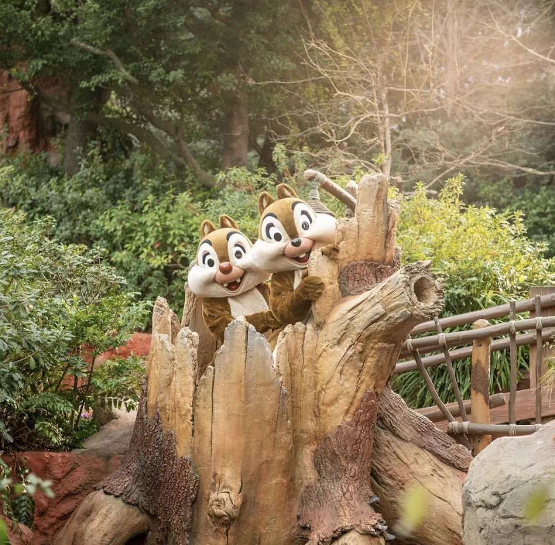 迪士尼必打卡的十个地方,打卡迪士尼纯玩三日