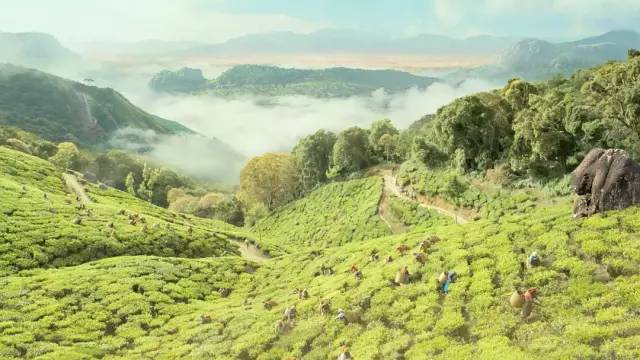 周末一起看电影去旅游,跟随电影镜头开启绝美的视觉旅行