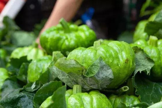 卧虎藏龙里的人情世故,卧虎藏龙金木水火土