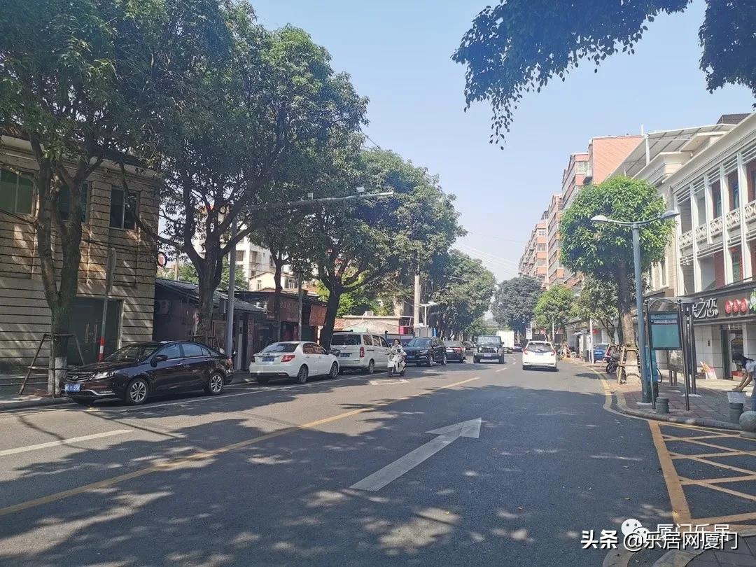 老破小也抗跌！解析同安三大名校背后的“学区热”