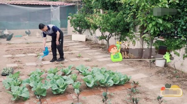 张继科豪宅别墅,张继科家的别墅有多大