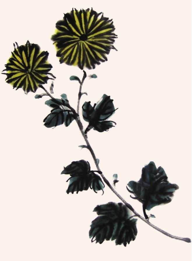 国画知识：不会画菊花？教你5种菊花画法，简单易学，快来临摹吧