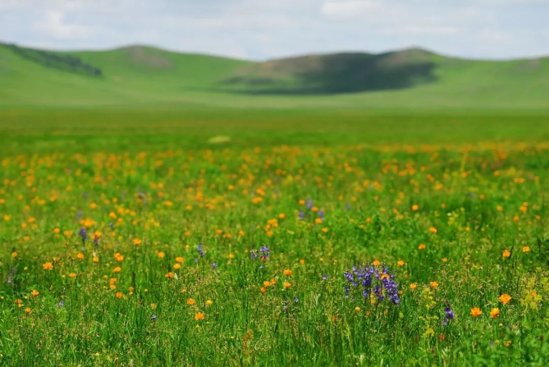 北京避暑,北京值得一去的皇家园林