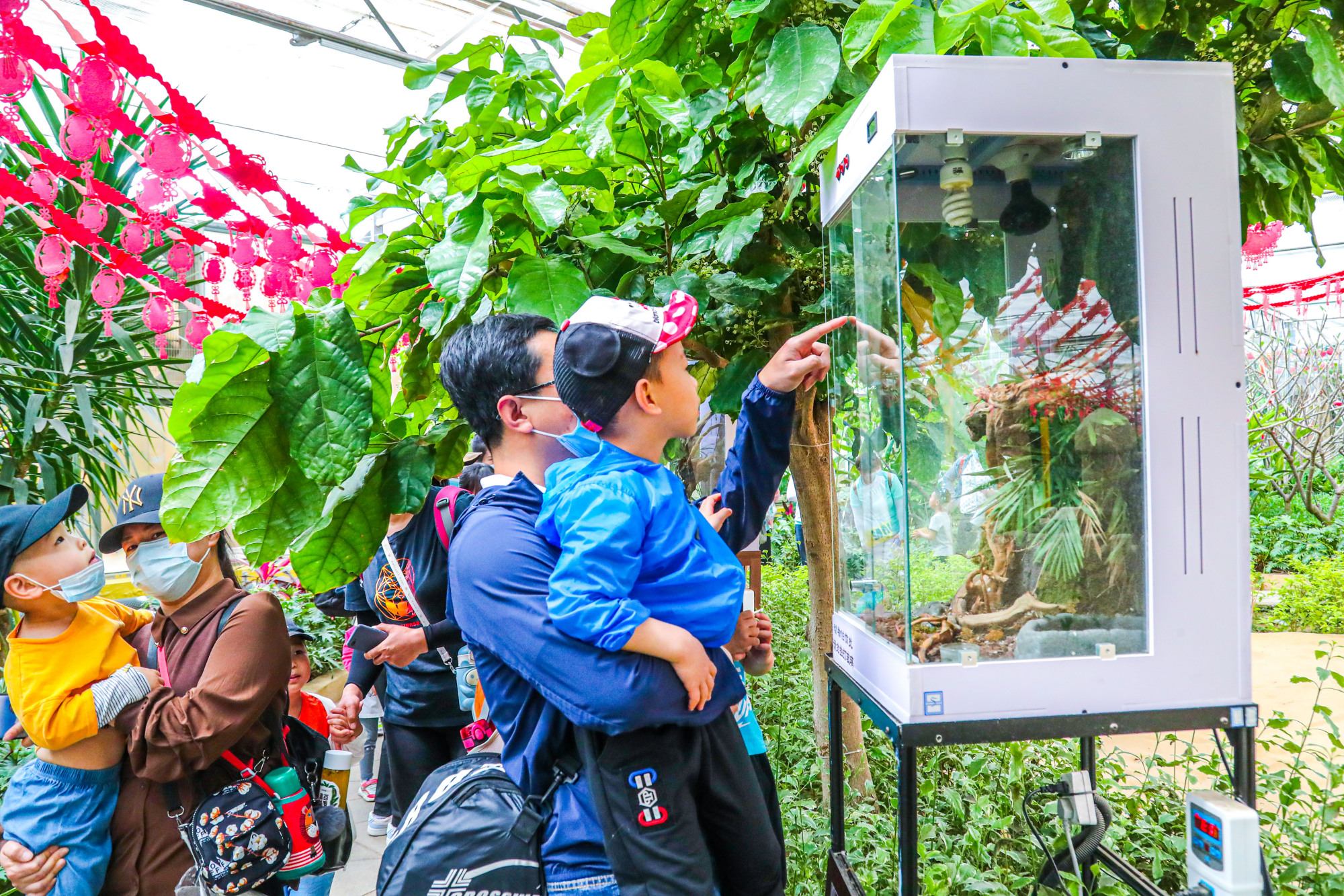 北京最大的温泉,北京最大的温泉是哪里