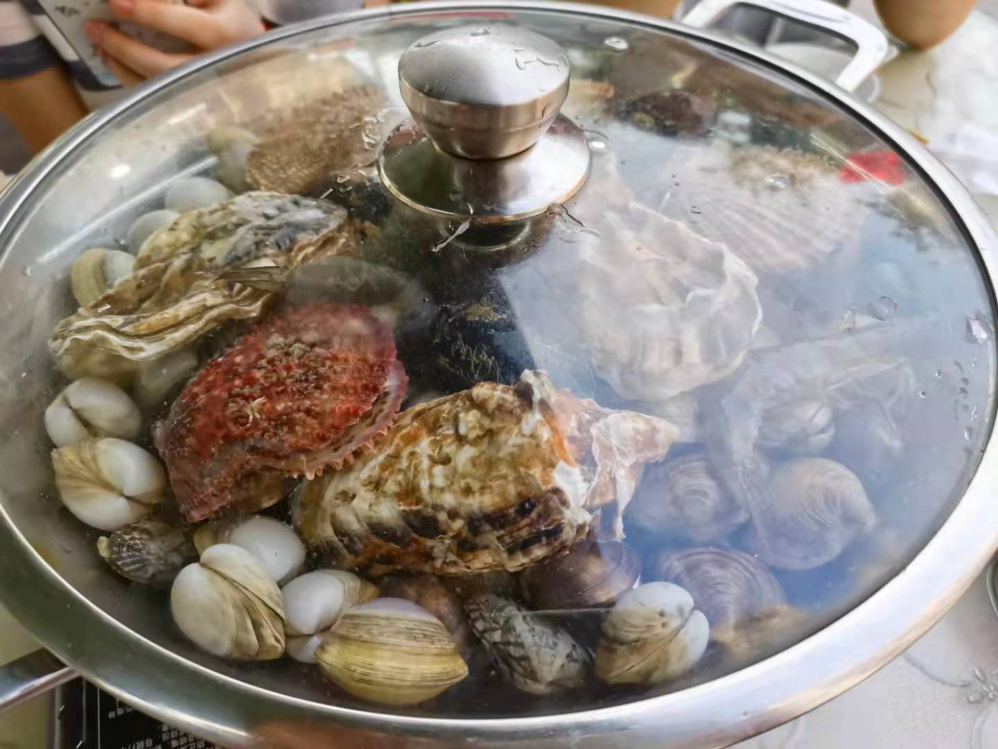 竞彩女足精彩集锦,今日竞彩推荐奥运女足荷兰