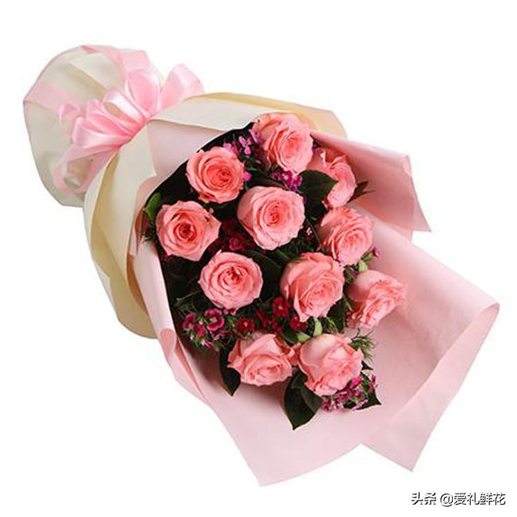 鲜切花玫瑰花上有小白虫子怎么办,鲜切花玫瑰怎样区分品质好坏