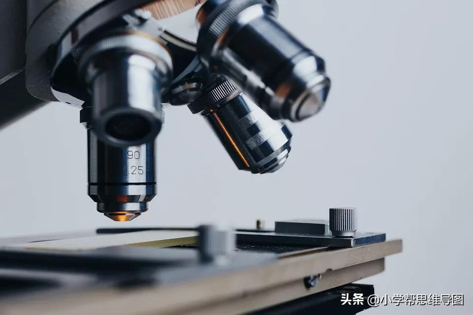 作文万能药丸,作文万能药