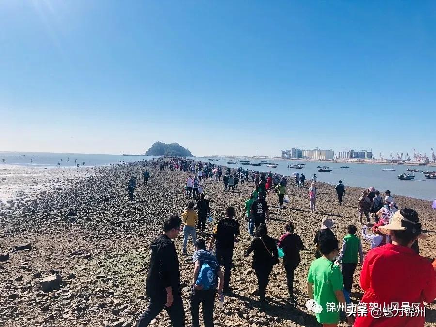 锦州笔架山风景区晚上,锦州笔架山风景区四月中旬