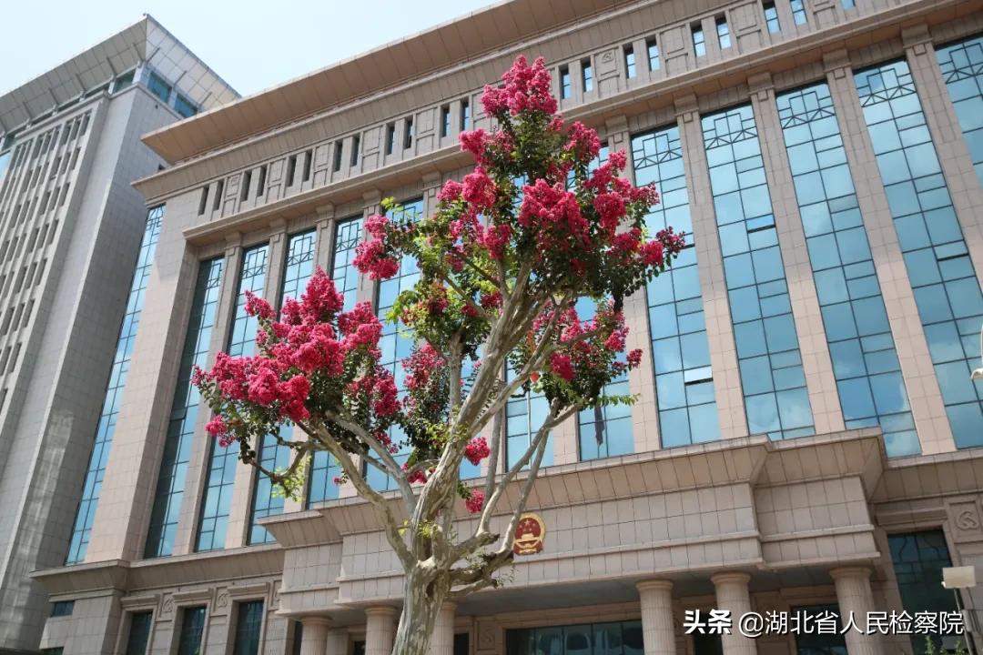 “创争当”检徽之光丨守心尽责无穷期，不觉山中日月长