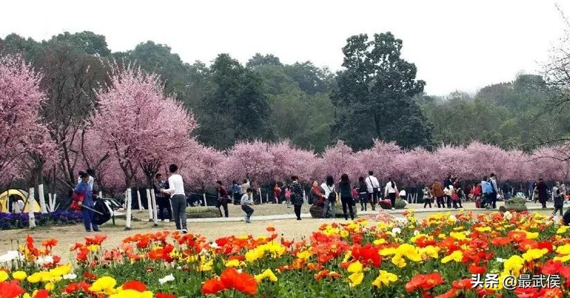 坐上地铁游成都,成都游记地铁