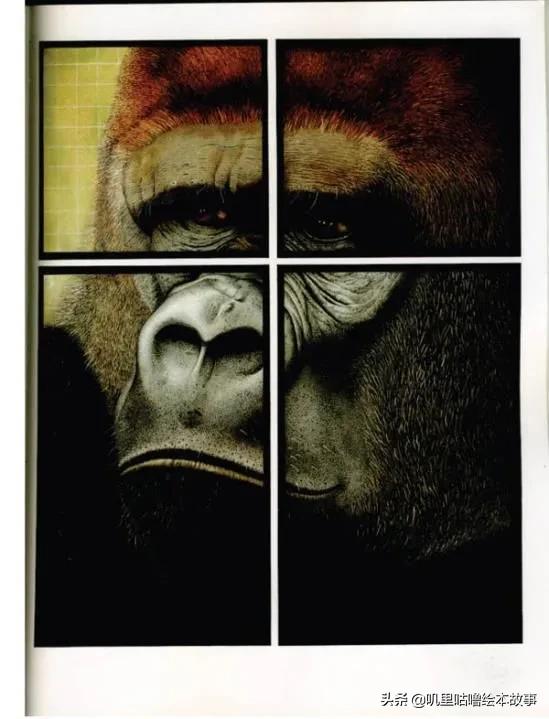 安东尼布朗儿童绘本合集,安东尼布朗出品的绘本有哪些