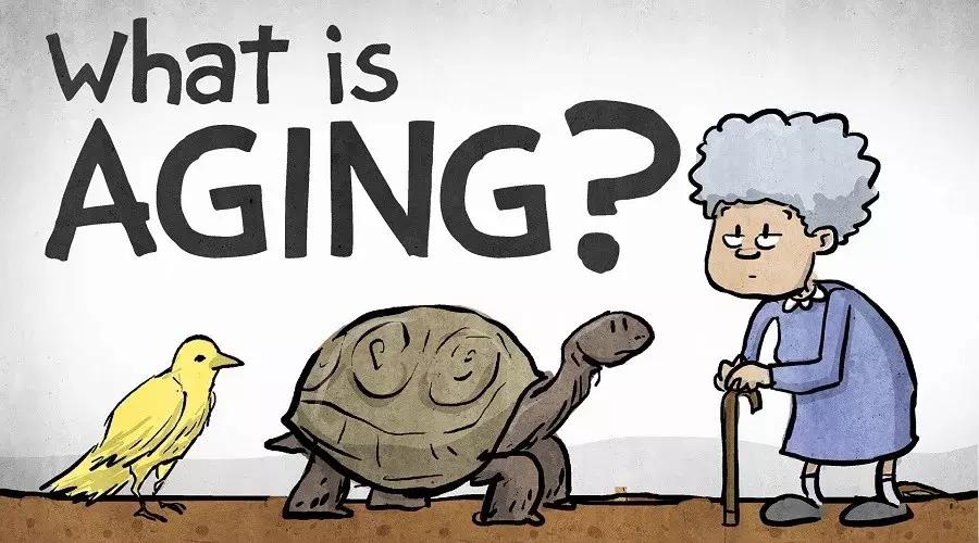 学习英语的十个好处用英语表达,读英语报纸对学英语好处