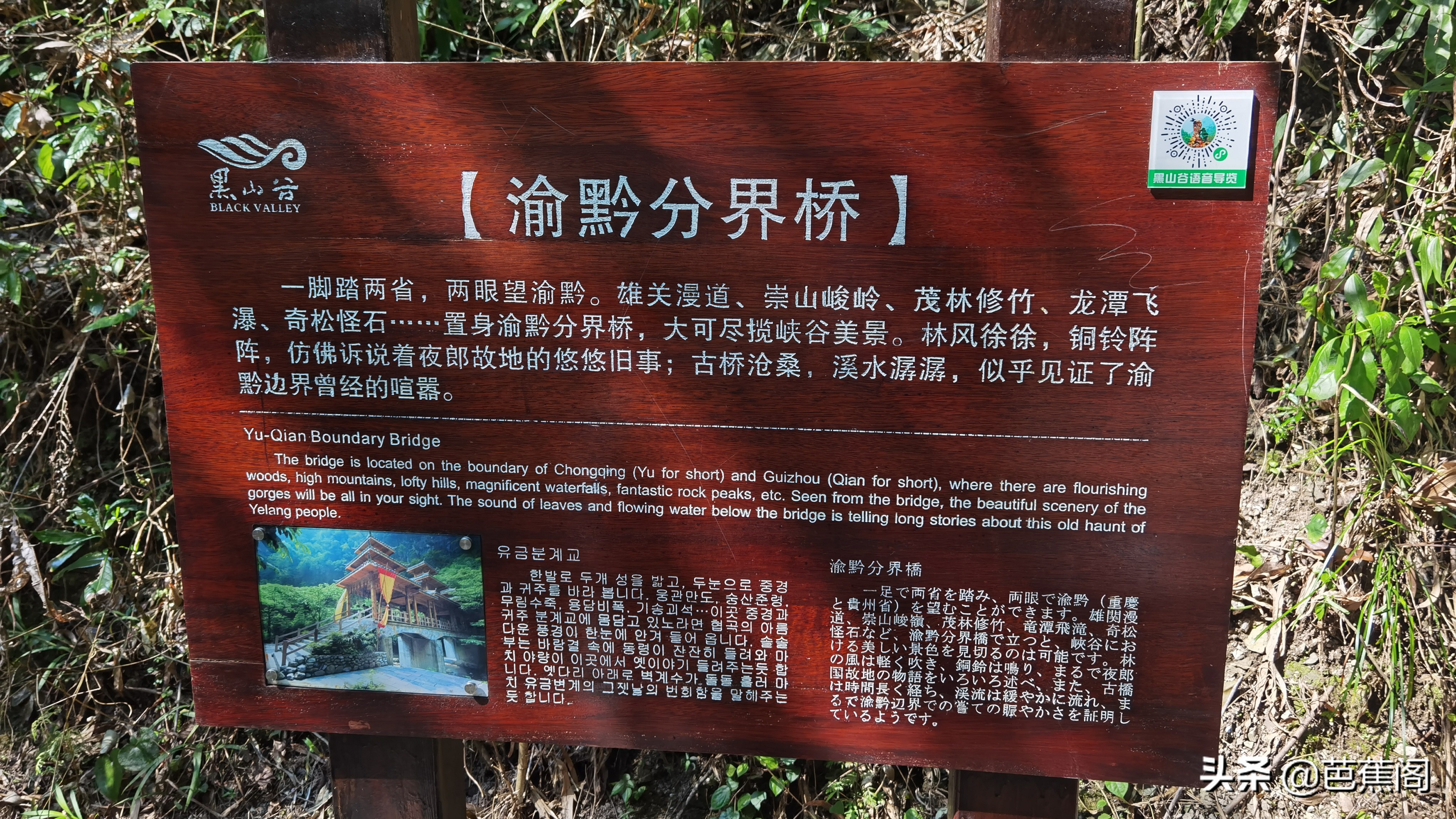 少走弯路攻略,万盛黑山谷旅游攻略