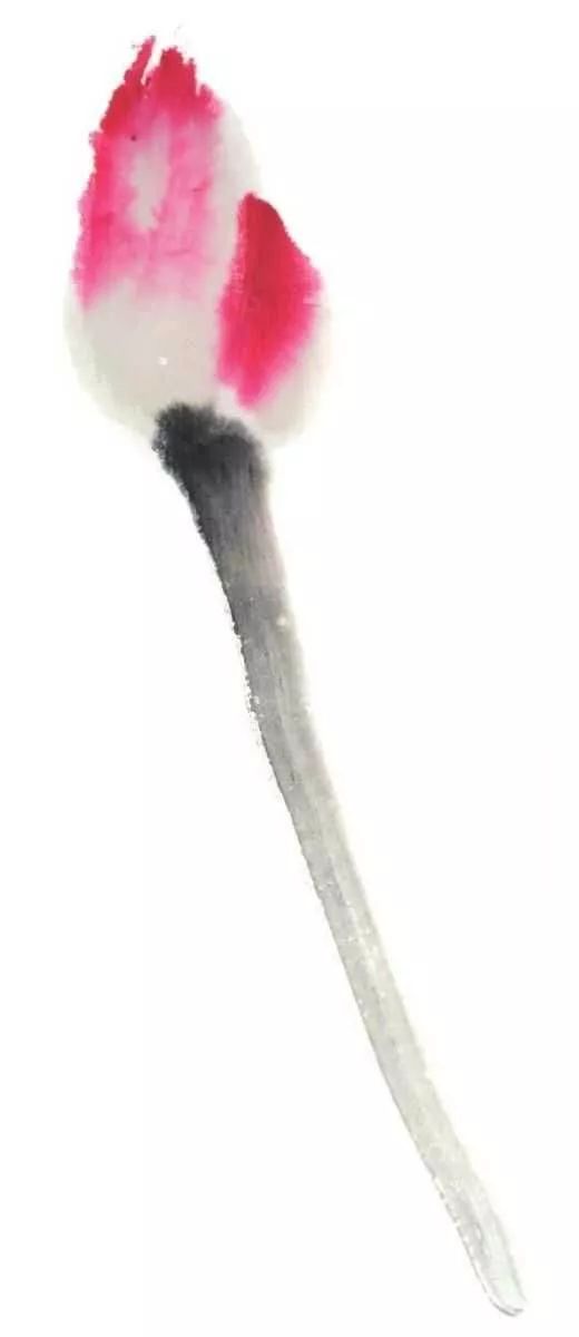 白描荷花100幅画法,荷花的画法白描图