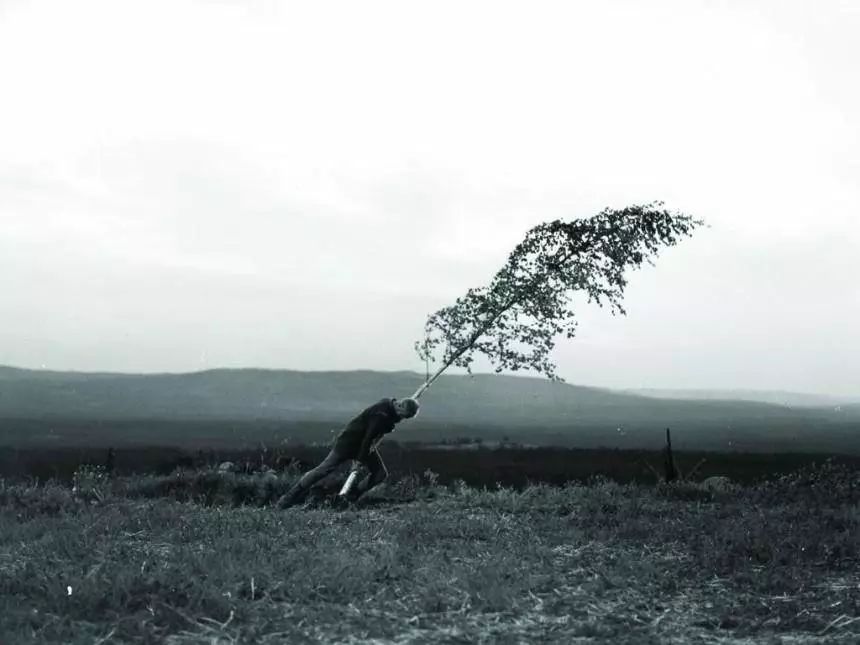 伯格曼电影解析,伯格曼哪一部电影好看