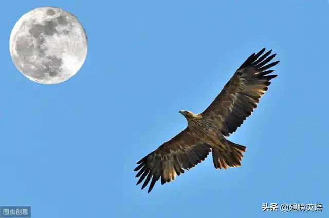 高中英语熟词新义速记,高中英语例句翻译