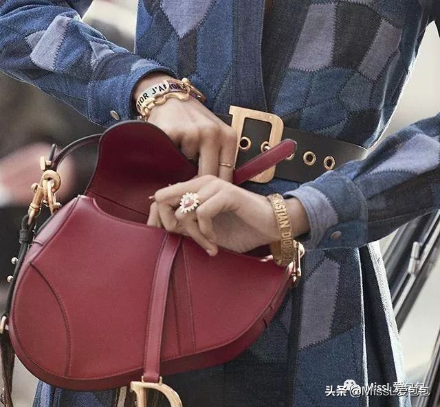 diorsaddle包全金,diorsaddle大包