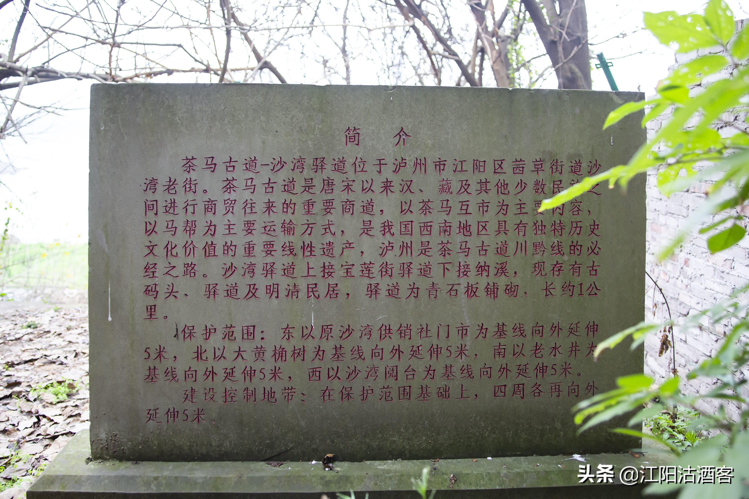 泸州沙湾，一条通往茶马古道的长江水上码头，如今落寞无人问