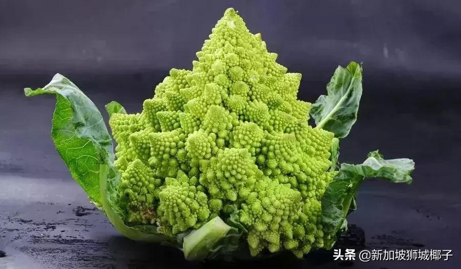 新加坡超市卖的一种糖,新加坡奇葩的东西