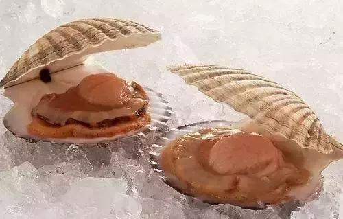 海鲜什么部位能吃什么不能吃讲解,各类海鲜哪个部位不能吃