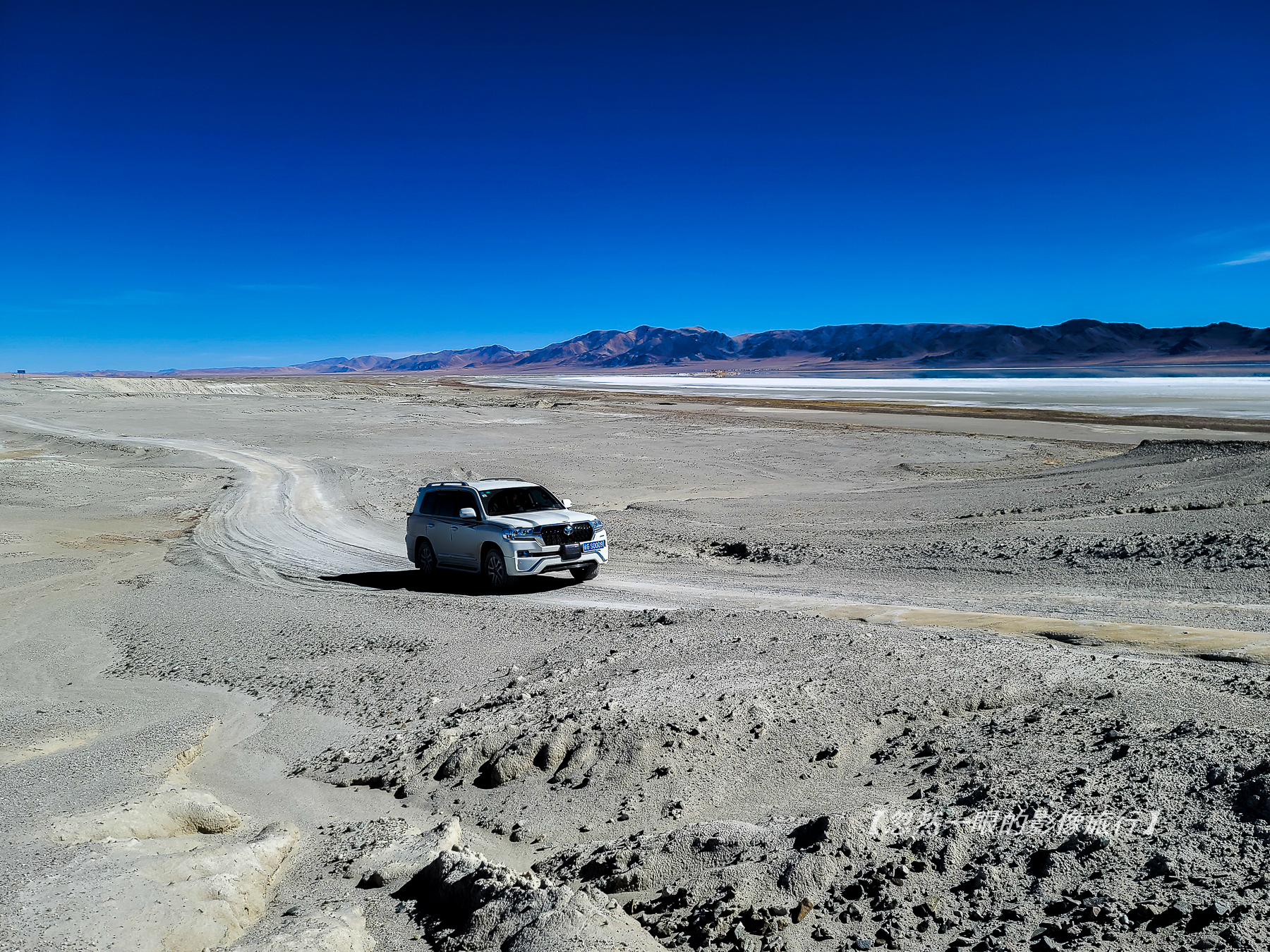阿里无人区野狼出没,阿里无人区狐狸