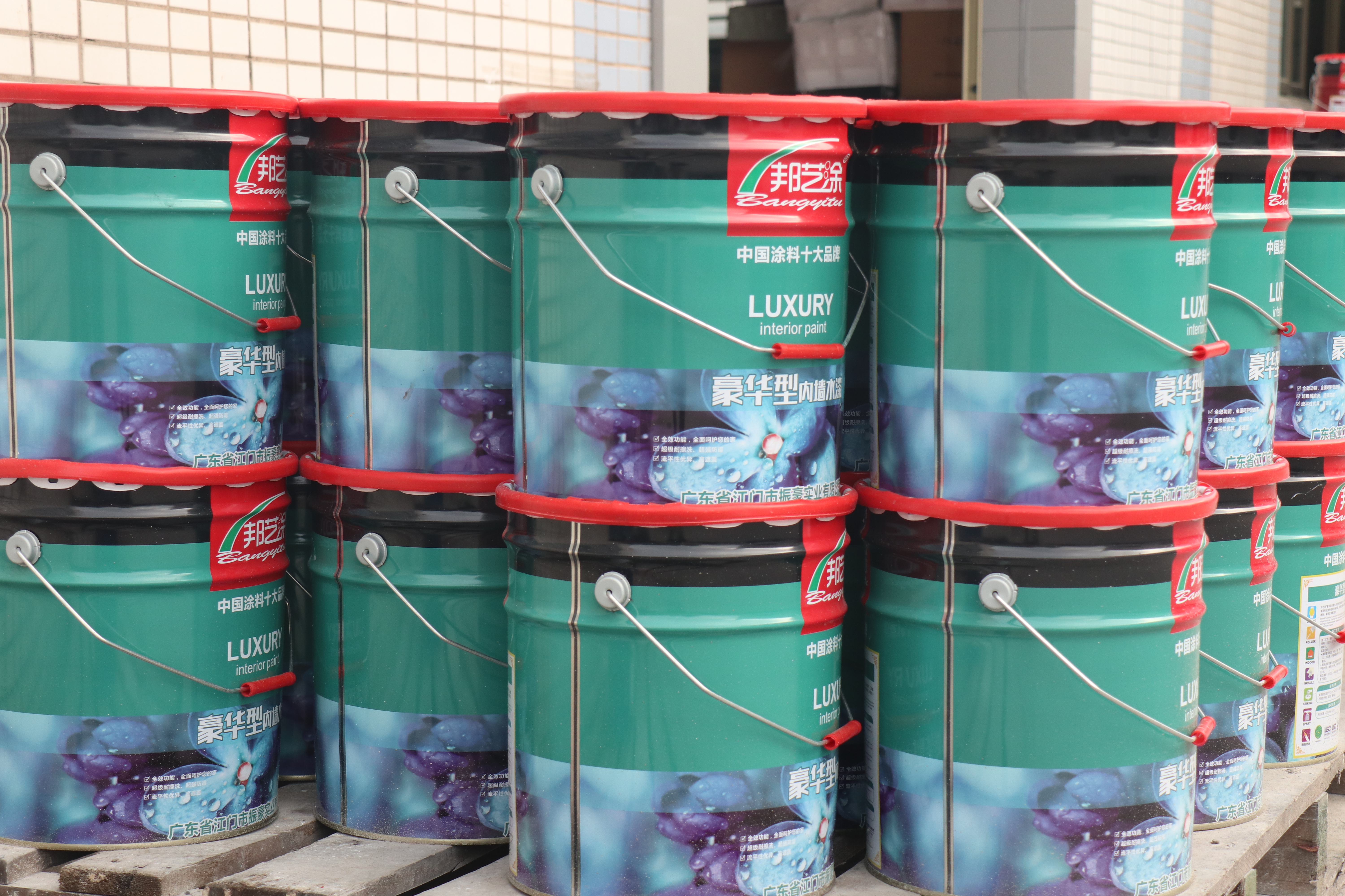 十年磨一剑，振豪在前行