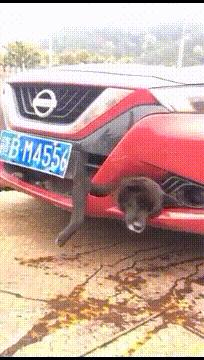 木乃伊搞笑图片4k,搞笑木乃伊制作过程