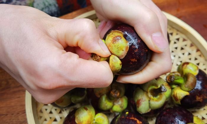 山竹挑选小技巧,山竹的挑母方法